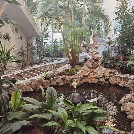 Villa Reis - The Villa Of Kings Bedfordview 外观 照片
